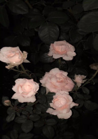 频道逾期过夜